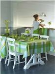Secret de Cuisine 59x69 coated tablecloth plus 4 napkins in mint green