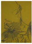 Passiflore in green for french dishtowel