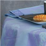 Darjeeling porceline blue coated tablecloth