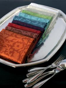 Villandry french napkin and placemats by Yves Delorme