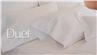Duet damask stripe in White deep pocket bed sheets