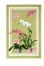 Orchidees french towel in green by Beauville