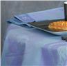 Darjeeling porceline blue coated tablecloth