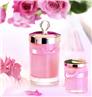 Rigaud candle in Rose