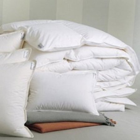 Fiona pillow protector by Sferra