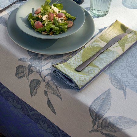 Arriere-Pays Coated French Tablecloth by Le Jacquard Francais