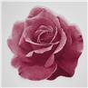 Passion red rug designed Rose by Habidecor