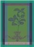 Brin de Menthe, Basilic vert, or Thym vert French towel by Garnier Thiebaut