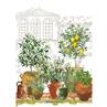Jardin Provencal French towel by Garnier Thiebaut