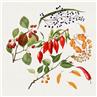 Piments natural Table Linens by Garnier Thiebaut